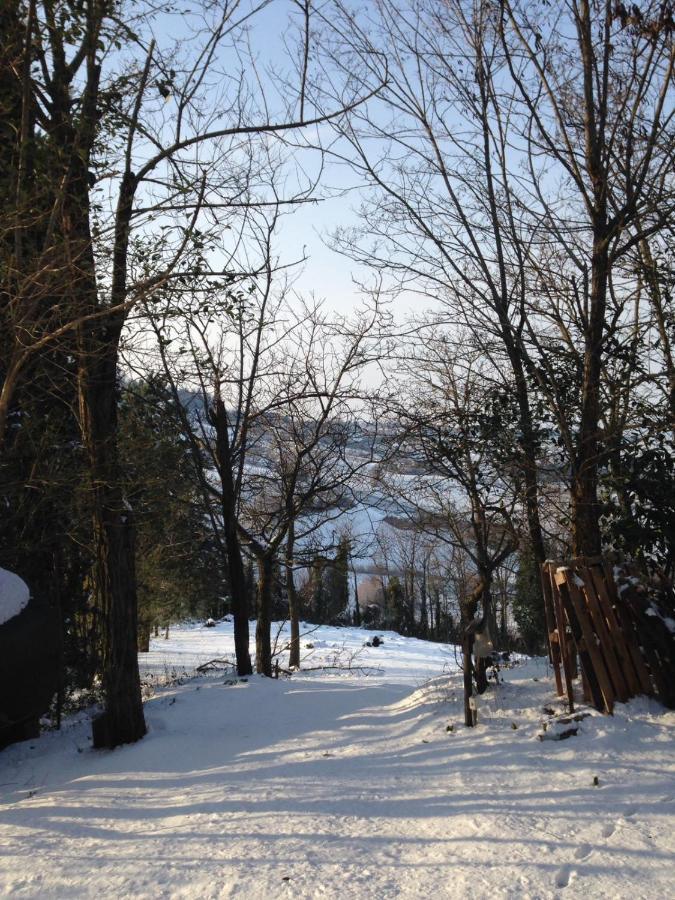 Villa 225 Bracciano  Kültér fotó